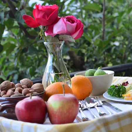 Italiano Bed & Breakfast Bed & Breakfast Synikia Mesi Trikalon Exterior photo